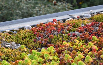 the cost of Upper Soudley green roof installation