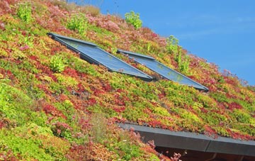 Upper Soudley living roof systems